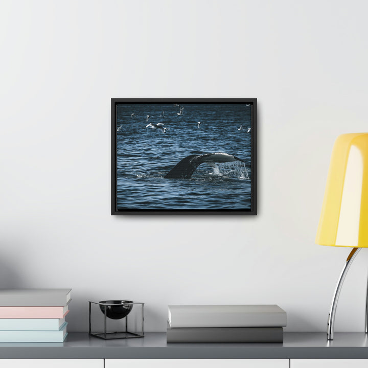 Feeding Tail - Canvas with Frame