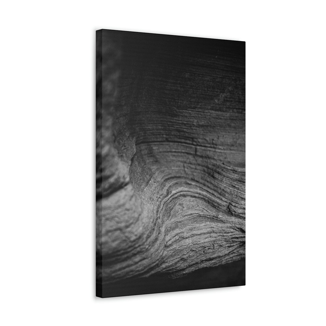 Sedimentary Rock Curves in Black and White - Canvas