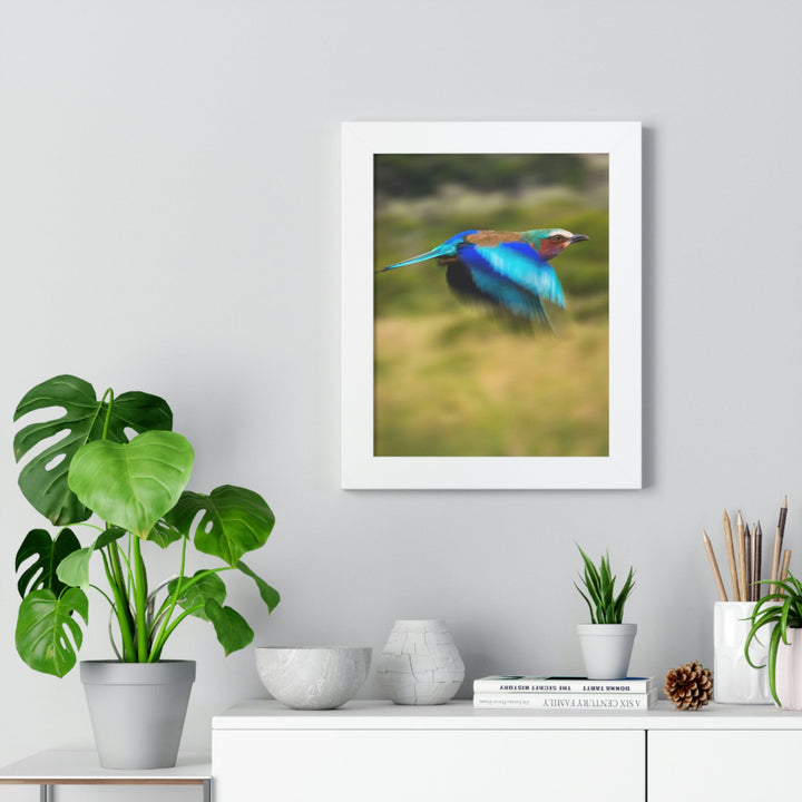 Blur of Colors - Framed Print - Visiting This World