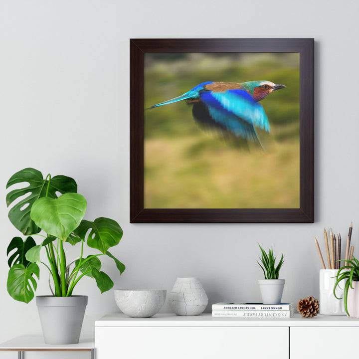 Blur of Colors - Framed Print - Visiting This World