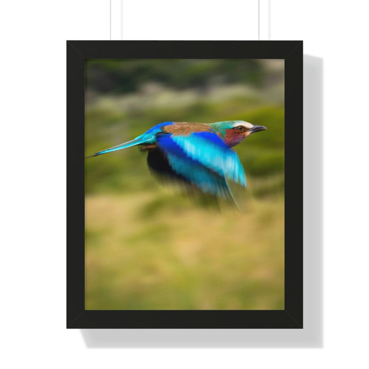 Blur of Colors - Framed Print - Visiting This World