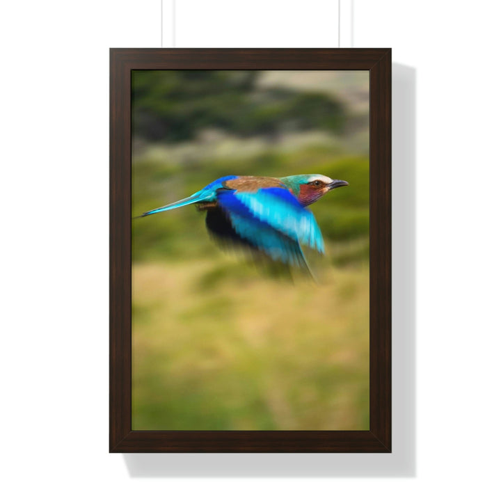 Blur of Colors - Framed Print - Visiting This World