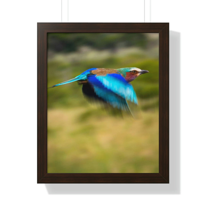 Blur of Colors - Framed Print - Visiting This World