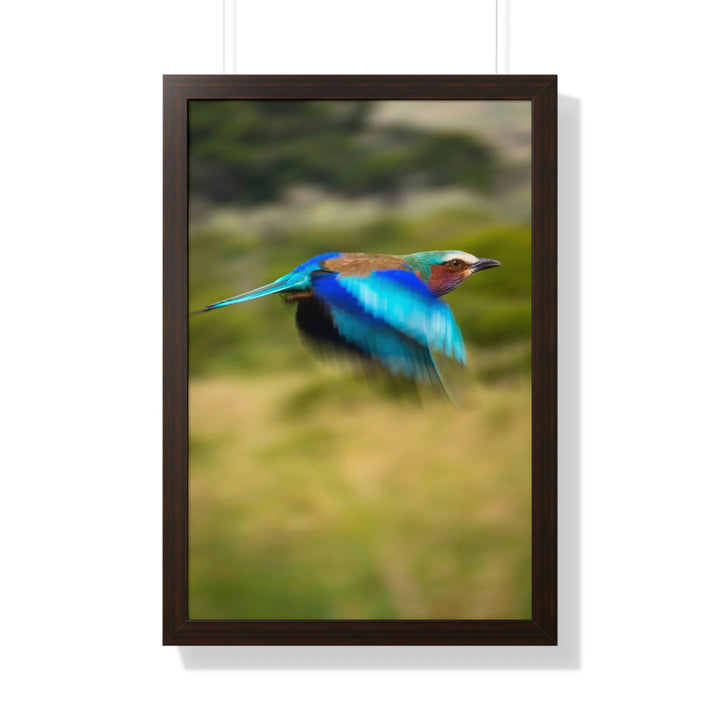 Blur of Colors - Framed Print - Visiting This World