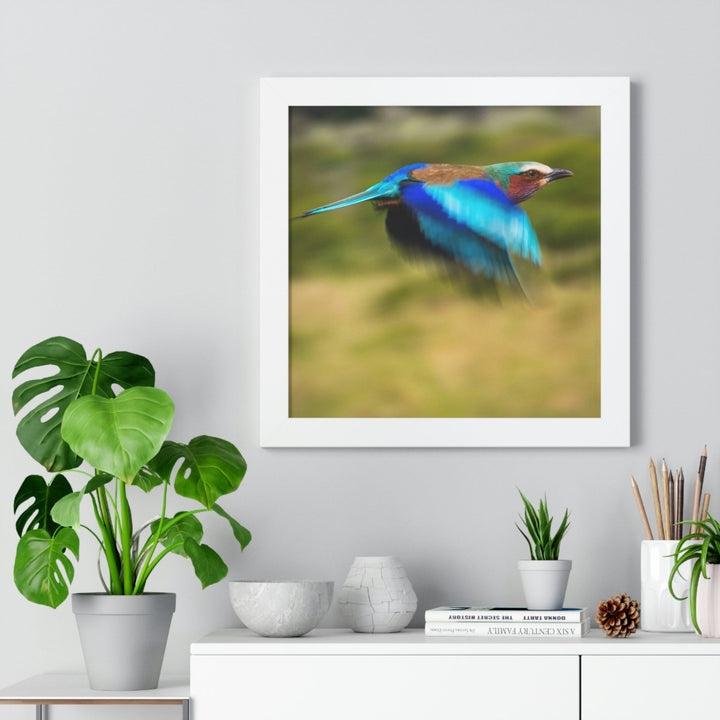 Blur of Colors - Framed Print - Visiting This World