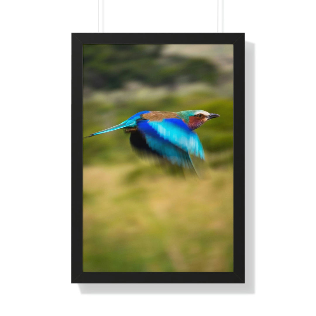 Blur of Colors - Framed Print - Visiting This World