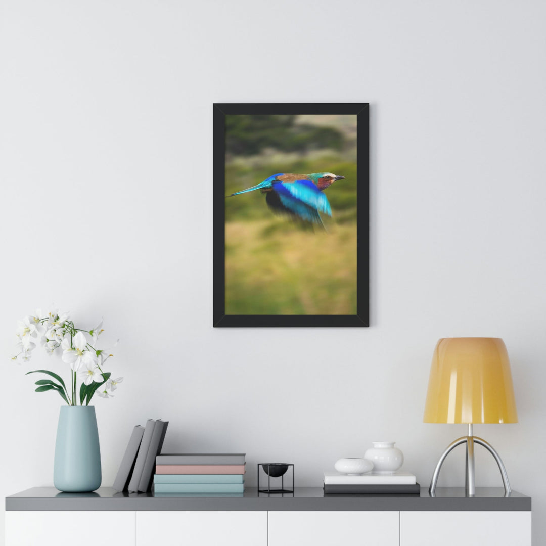 Blur of Colors - Framed Print - Visiting This World