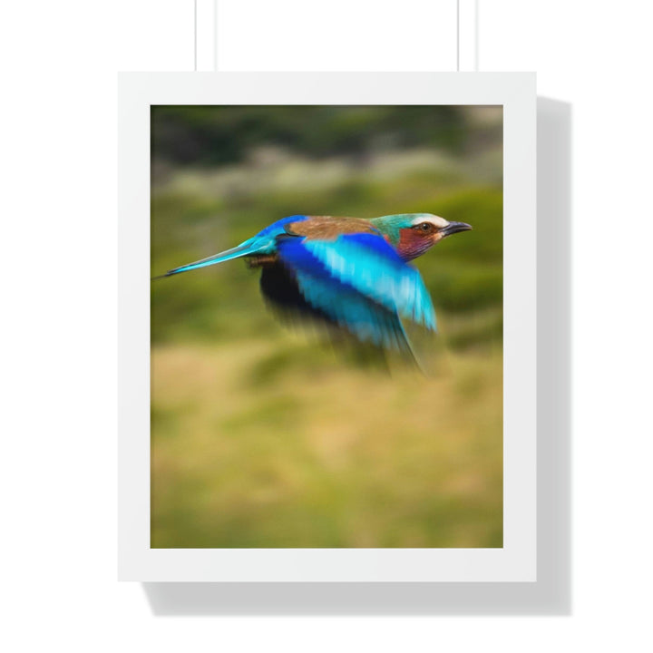 Blur of Colors - Framed Print - Visiting This World
