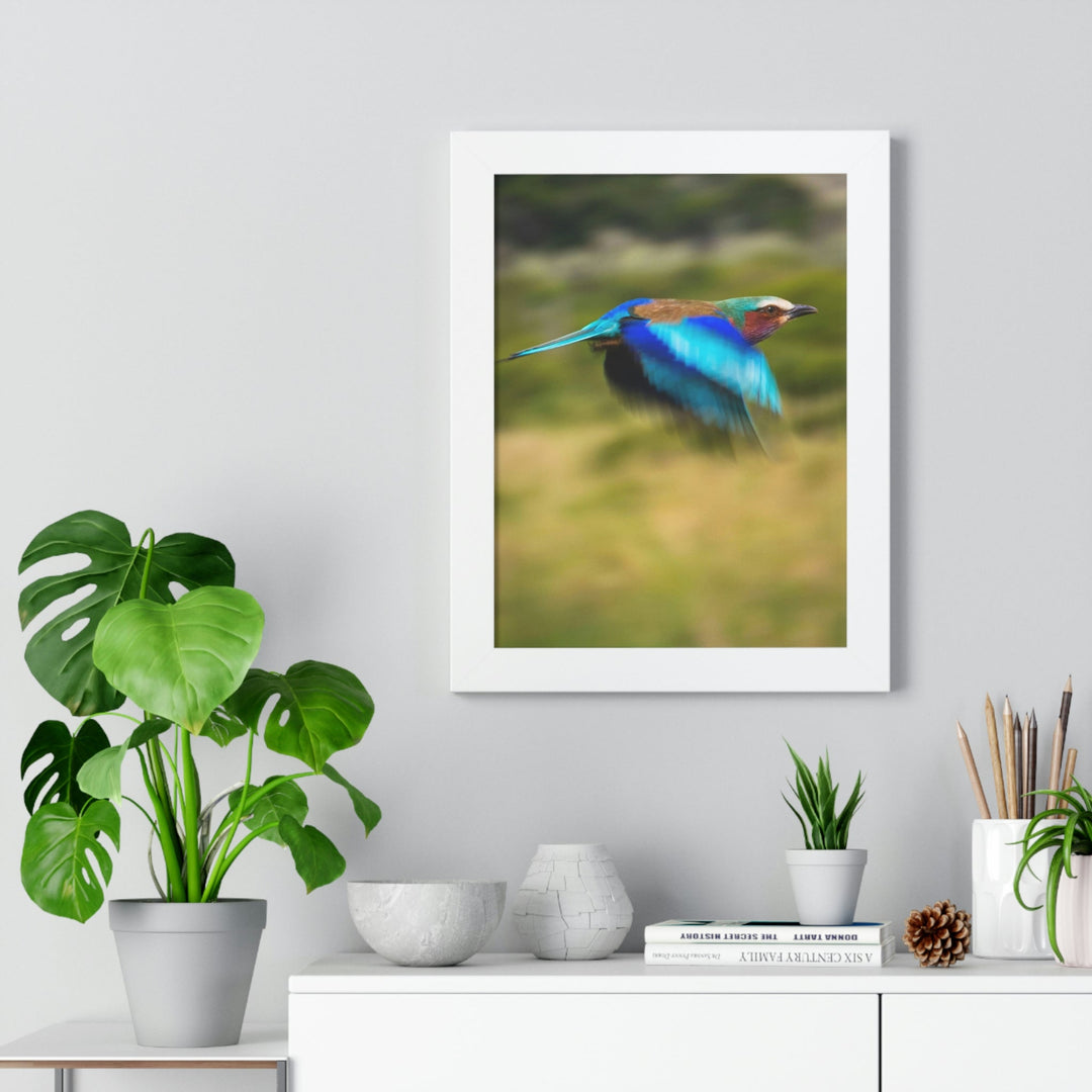 Blur of Colors - Framed Print - Visiting This World