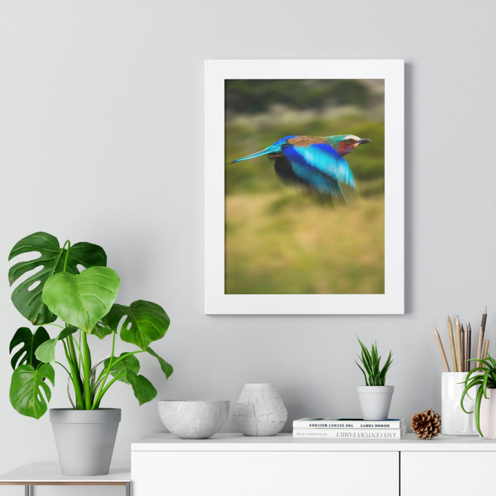 Blur of Colors - Framed Print - Visiting This World