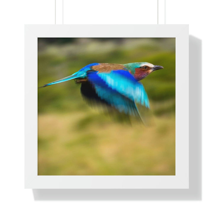 Blur of Colors - Framed Print - Visiting This World