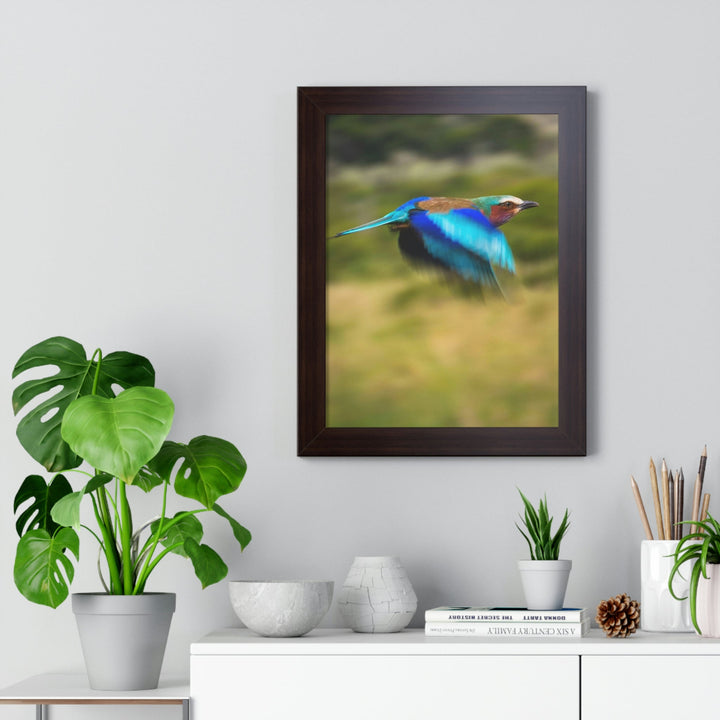Blur of Colors - Framed Print - Visiting This World