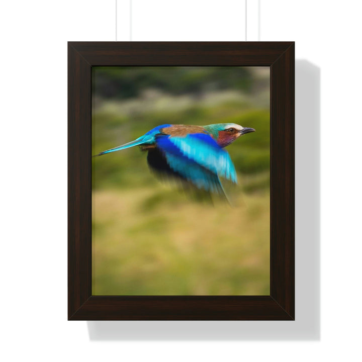 Blur of Colors - Framed Print - Visiting This World