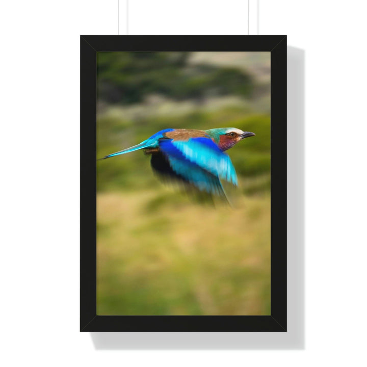 Blur of Colors - Framed Print - Visiting This World