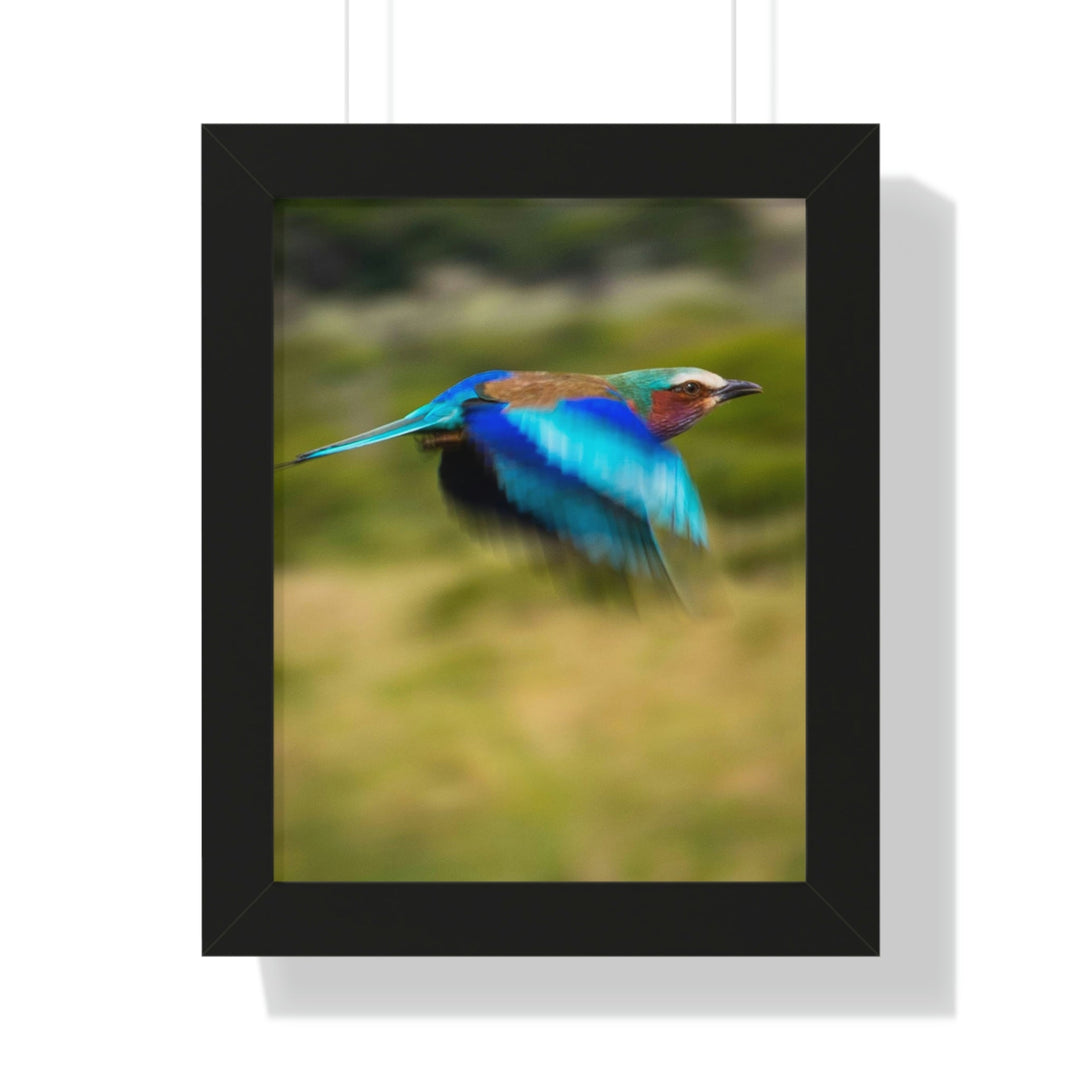 Blur of Colors - Framed Print - Visiting This World
