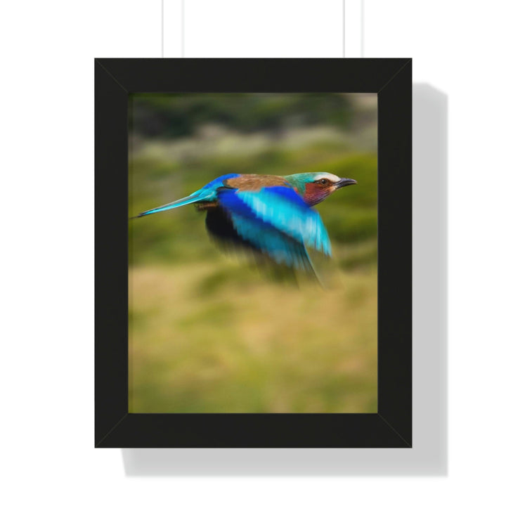 Blur of Colors - Framed Print - Visiting This World