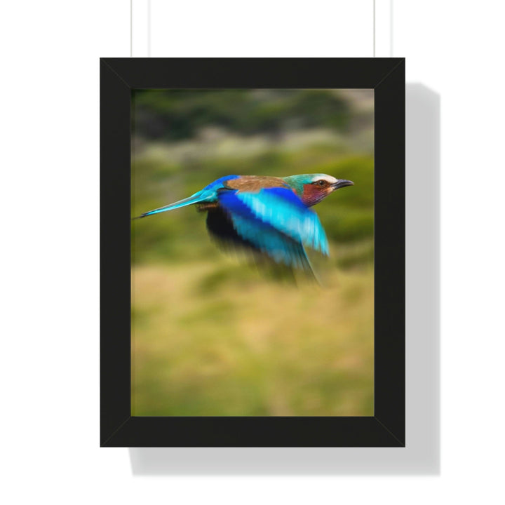 Blur of Colors - Framed Print - Visiting This World