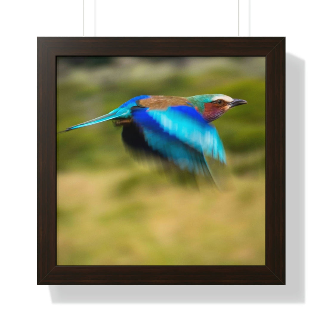 Blur of Colors - Framed Print - Visiting This World
