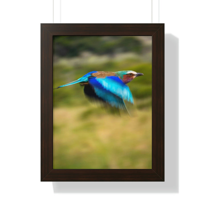 Blur of Colors - Framed Print - Visiting This World