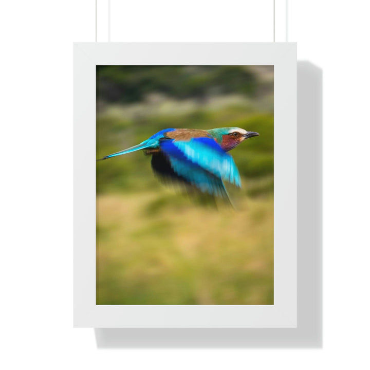 Blur of Colors - Framed Print - Visiting This World