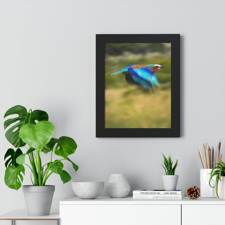 Blur of Colors - Framed Print - Visiting This World