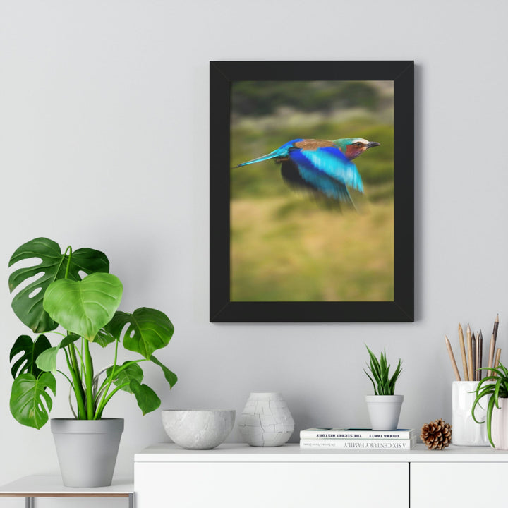 Blur of Colors - Framed Print - Visiting This World