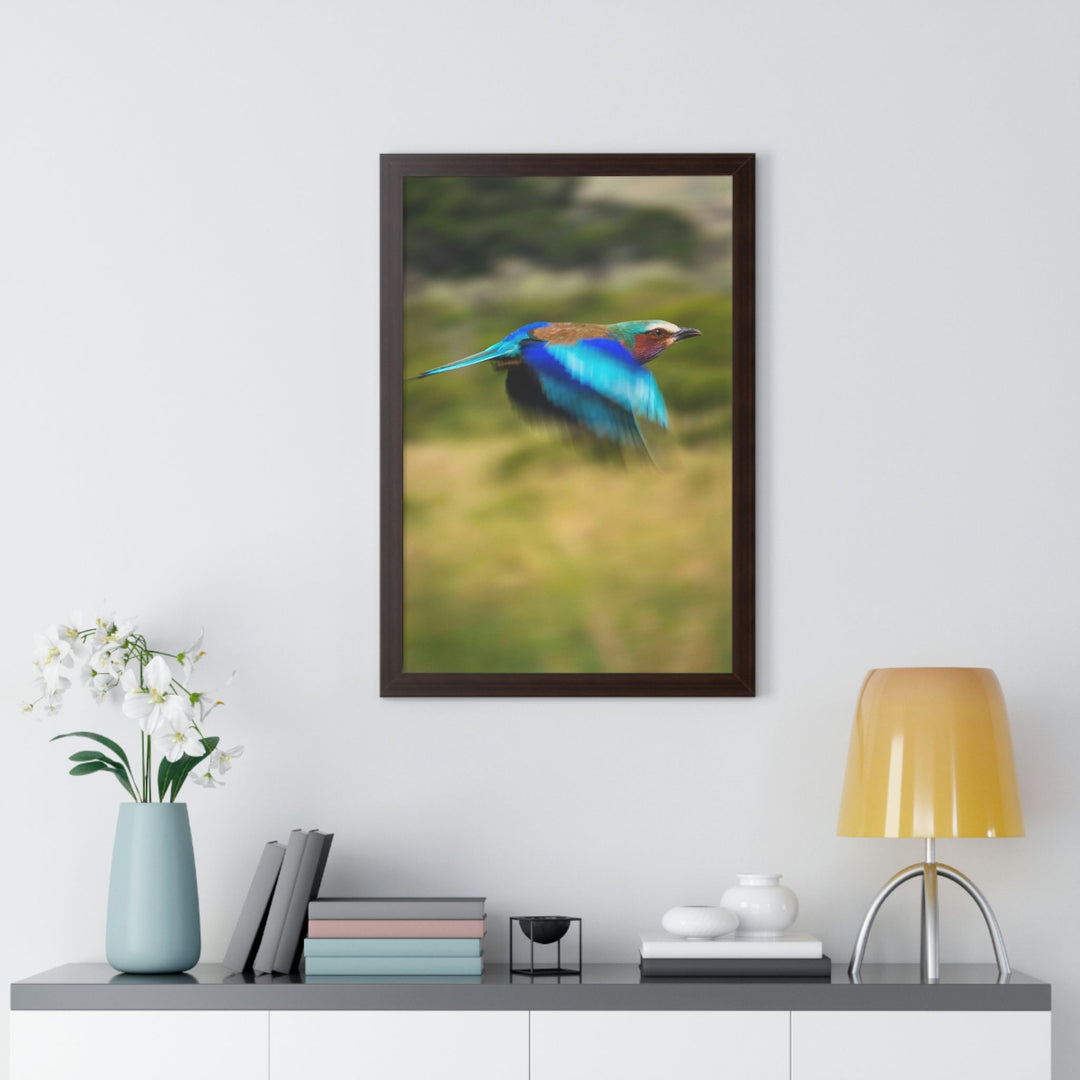 Blur of Colors - Framed Print - Visiting This World