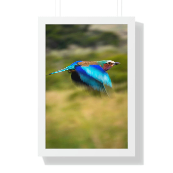 Blur of Colors - Framed Print - Visiting This World