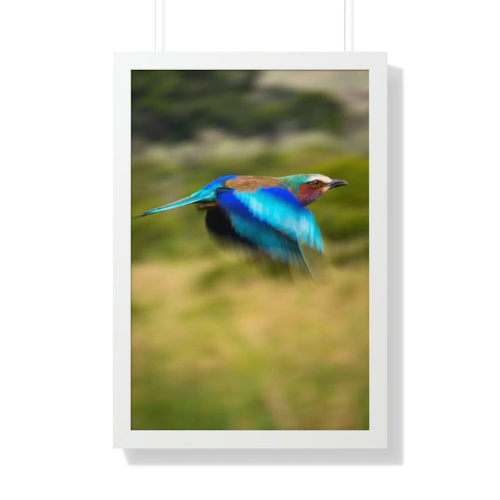 Blur of Colors - Framed Print - Visiting This World