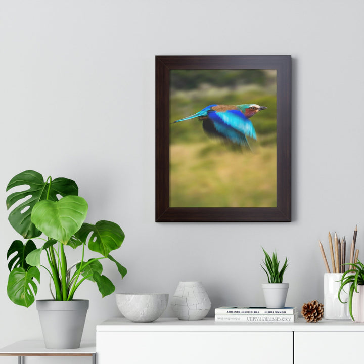 Blur of Colors - Framed Print - Visiting This World