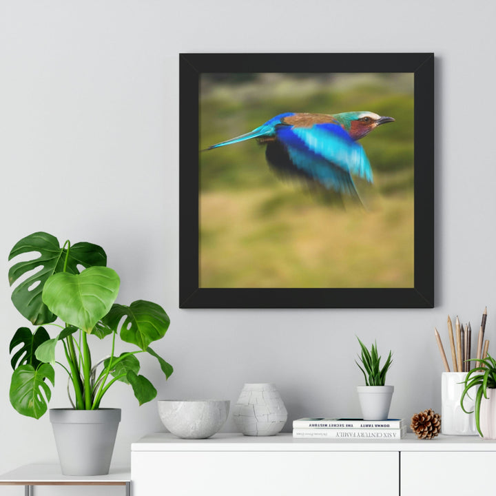 Blur of Colors - Framed Print - Visiting This World