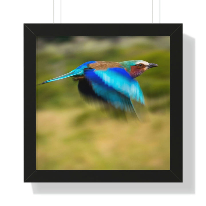 Blur of Colors - Framed Print - Visiting This World