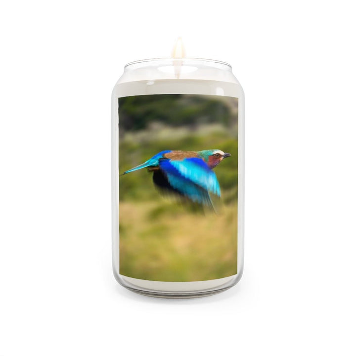 Blur of Colors - Scented Candle, 13.75oz - Visiting This World