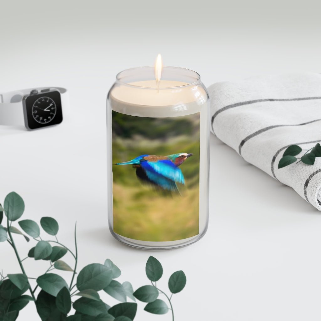 Blur of Colors - Scented Candle, 13.75oz - Visiting This World