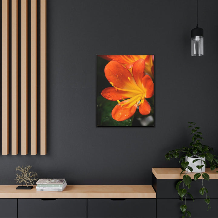 Bright Bush Lily - Canvas with Frame - Visiting This World