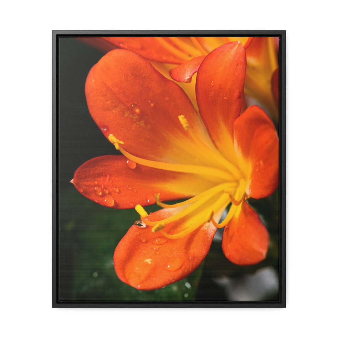 Bright Bush Lily - Canvas with Frame - Visiting This World