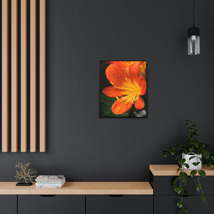 Bright Bush Lily - Canvas with Frame - Visiting This World