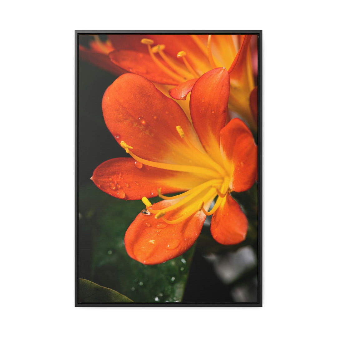 Bright Bush Lily - Canvas with Frame - Visiting This World