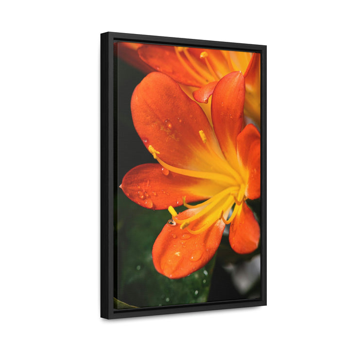 Bright Bush Lily - Canvas with Frame - Visiting This World