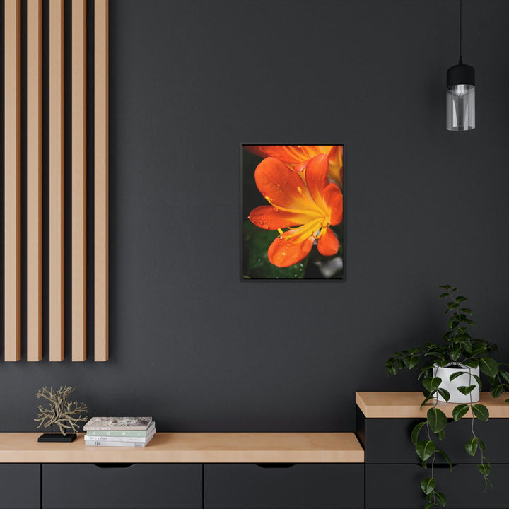 Bright Bush Lily - Canvas with Frame - Visiting This World