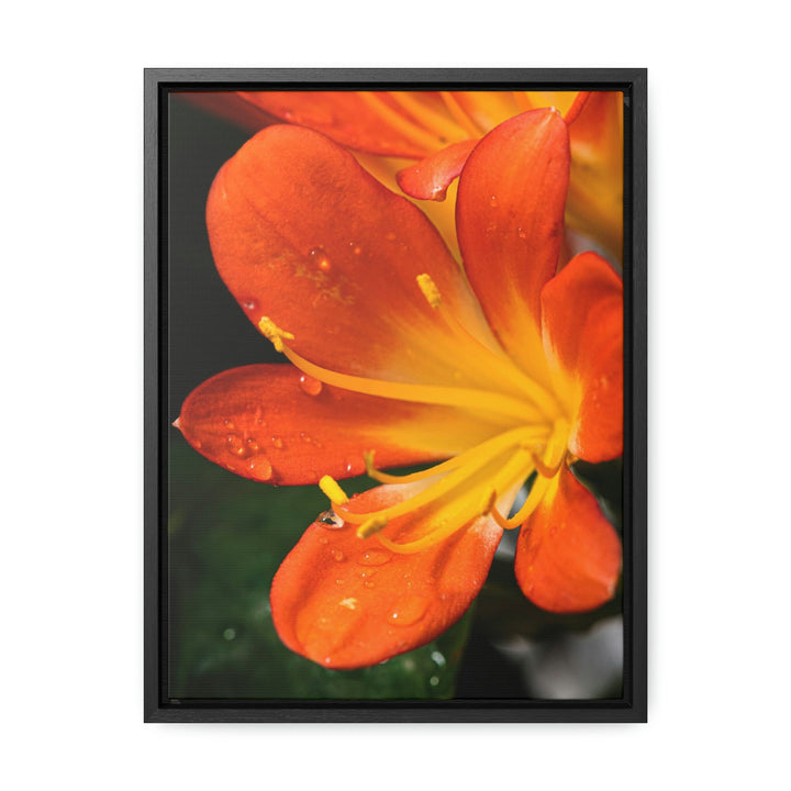 Bright Bush Lily - Canvas with Frame - Visiting This World