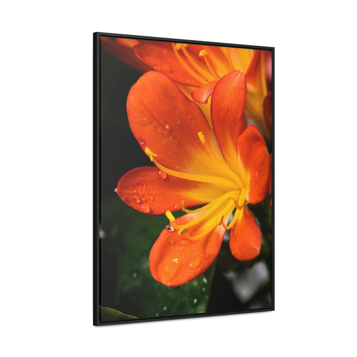 Bright Bush Lily - Canvas with Frame - Visiting This World