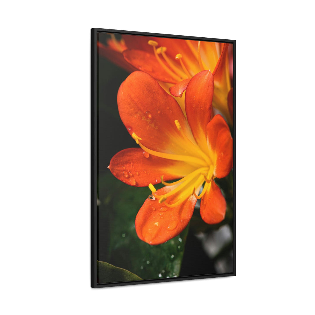 Bright Bush Lily - Canvas with Frame - Visiting This World