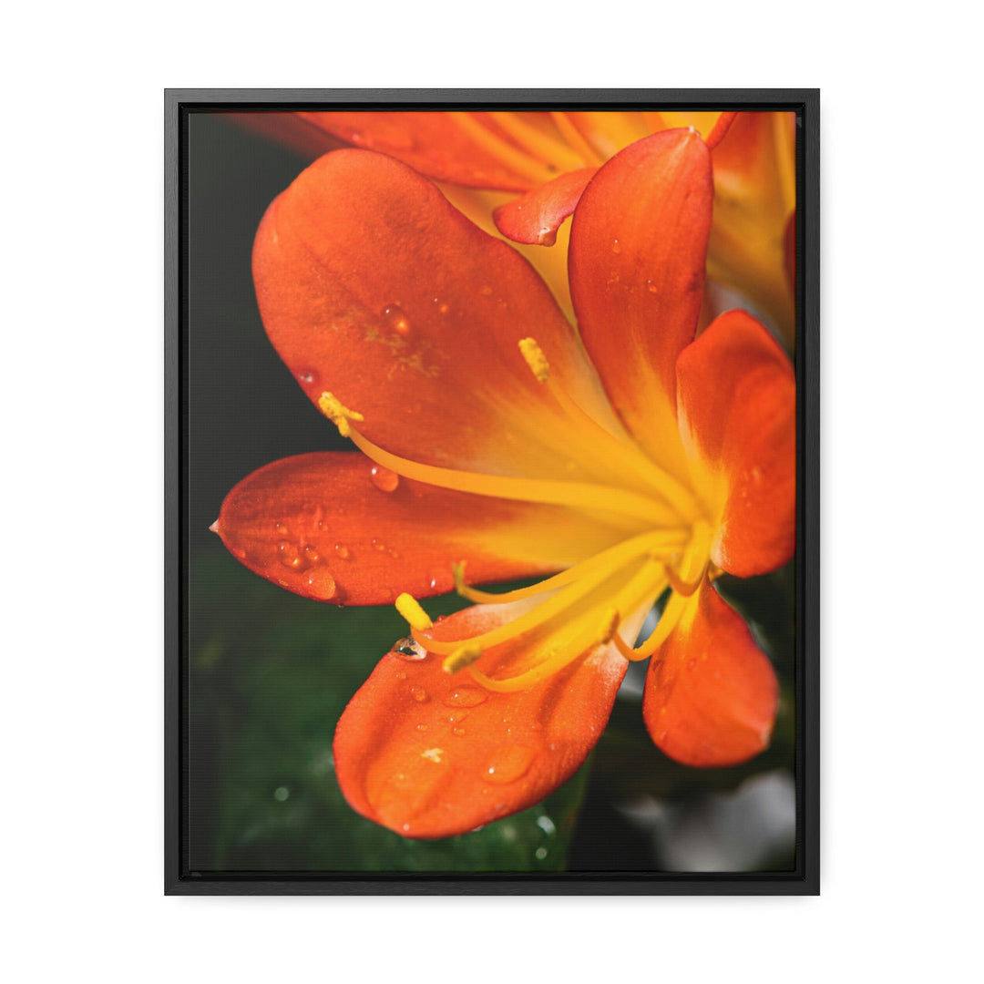 Bright Bush Lily - Canvas with Frame - Visiting This World