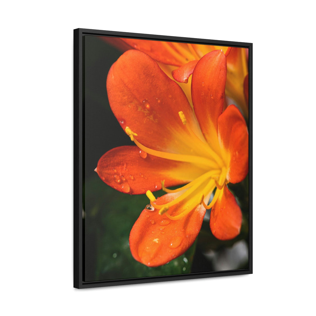 Bright Bush Lily - Canvas with Frame - Visiting This World