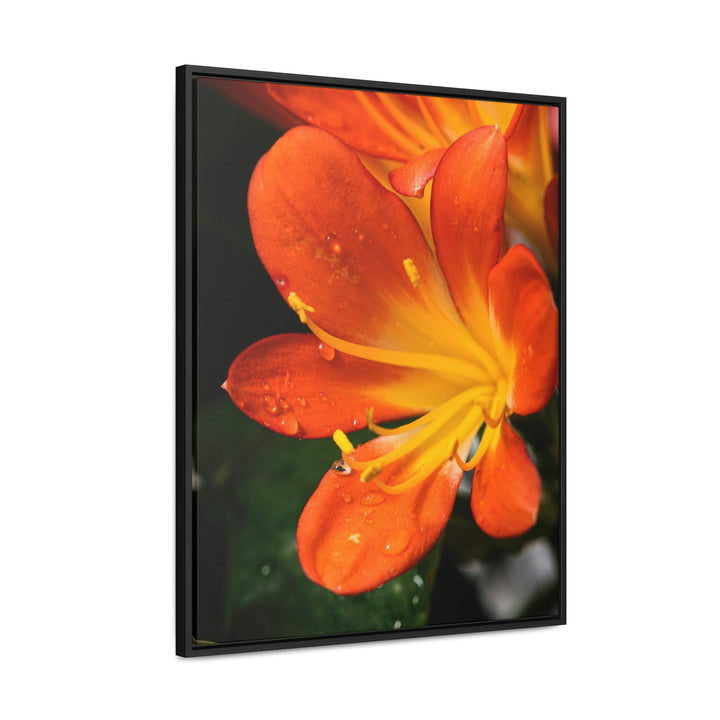 Bright Bush Lily - Canvas with Frame - Visiting This World