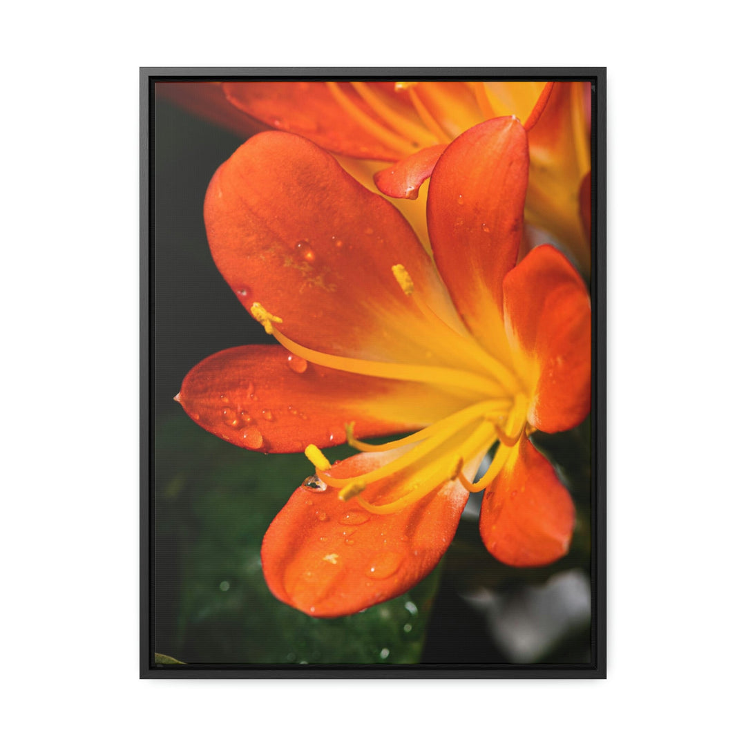 Bright Bush Lily - Canvas with Frame - Visiting This World