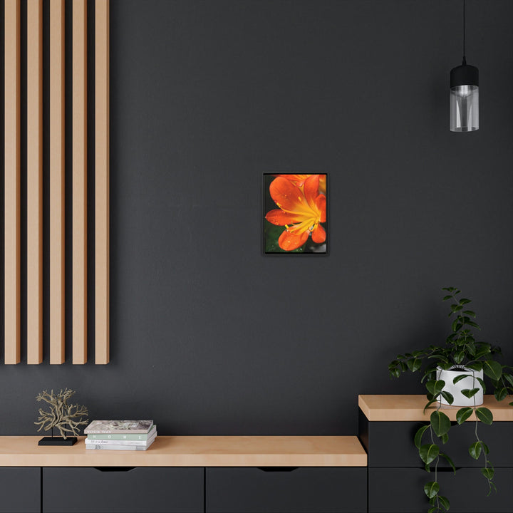 Bright Bush Lily - Canvas with Frame - Visiting This World