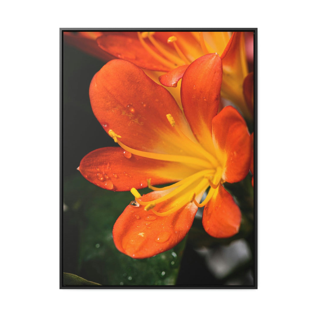 Bright Bush Lily - Canvas with Frame - Visiting This World