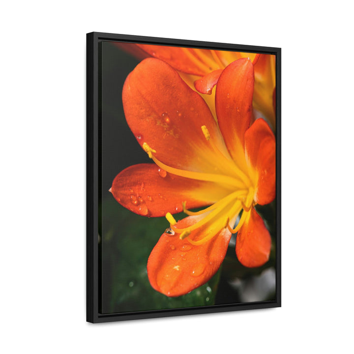 Bright Bush Lily - Canvas with Frame - Visiting This World